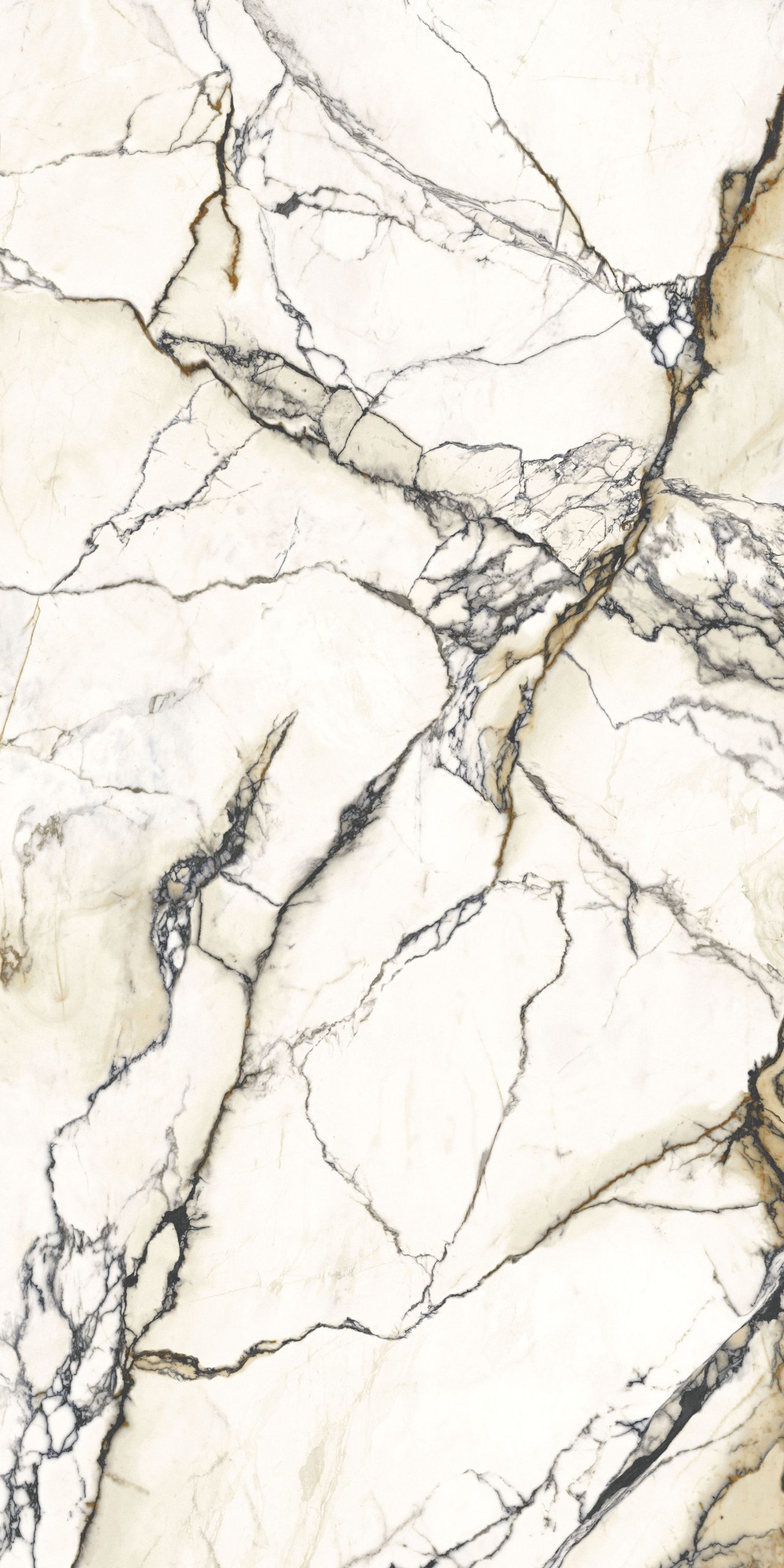 Lapidura Paonazzetto Reale — Lapidura 162x324cm 160x320cm Matt, Polished, Honed | Alfa Losa