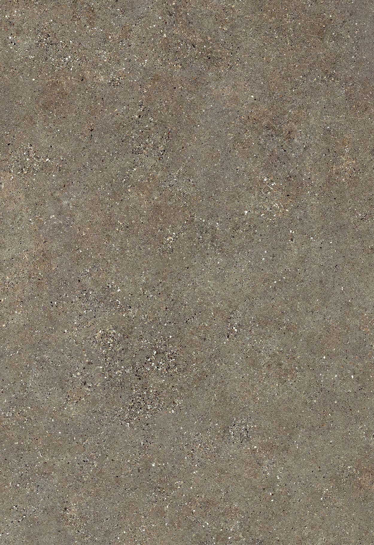 Neolith Wulong